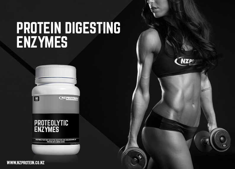 protein enzymes side banner