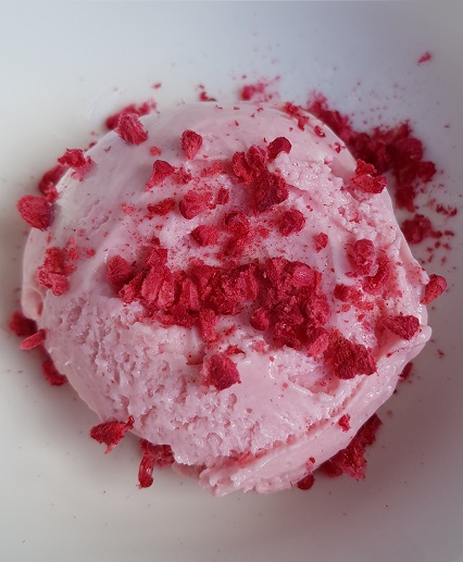 nz protein ice cream mix berry