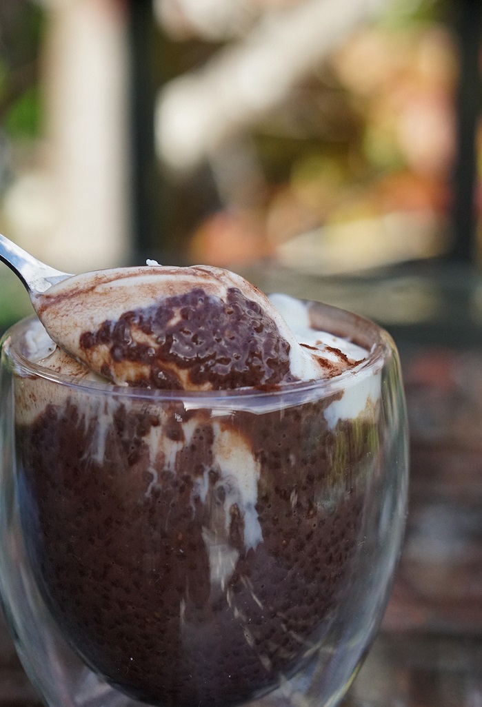 chia seed pudding with whey in a glass