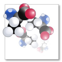 amino acid molecule