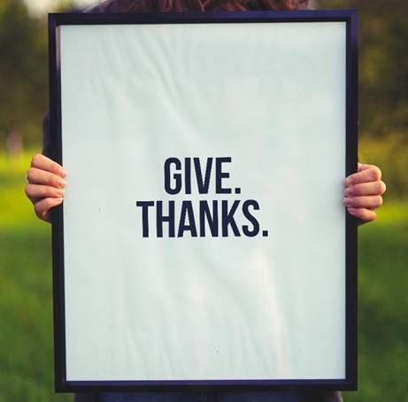 person holding a sign which says give thanks stock image