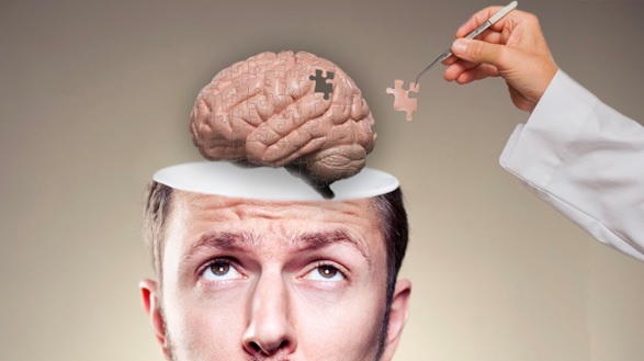brain made into a puzzle stock image