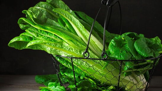 leafy greens with black background stock image