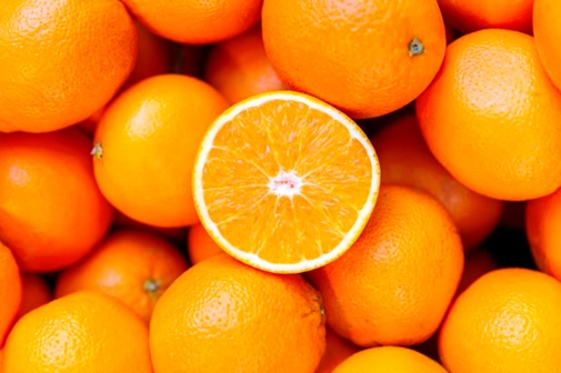 oranges stock image