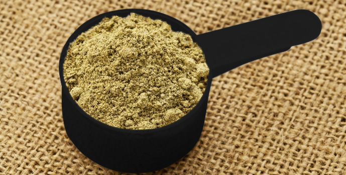 hemp protein powder in a black scoop