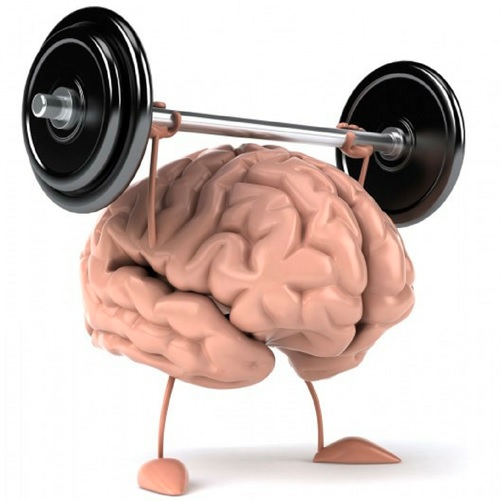 brain lifting a barbell stock image