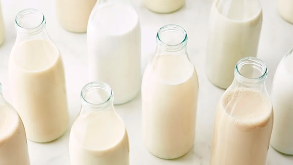 glass bottles of milk stock image