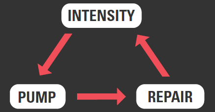 pre-workout 3 stage delivery matrix