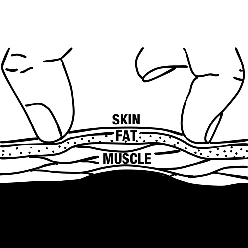 body fat calipers skin pinch measure diagram