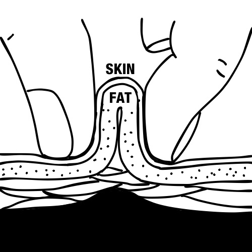 body fat calipers skin pinch measure diagram 2