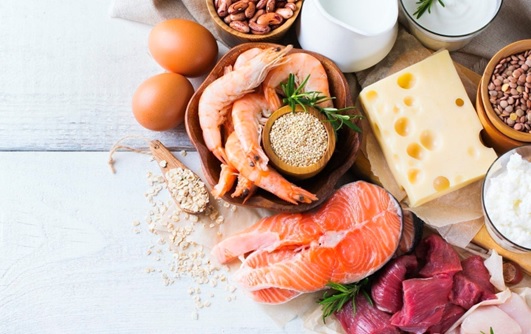 various protein foods stock image
