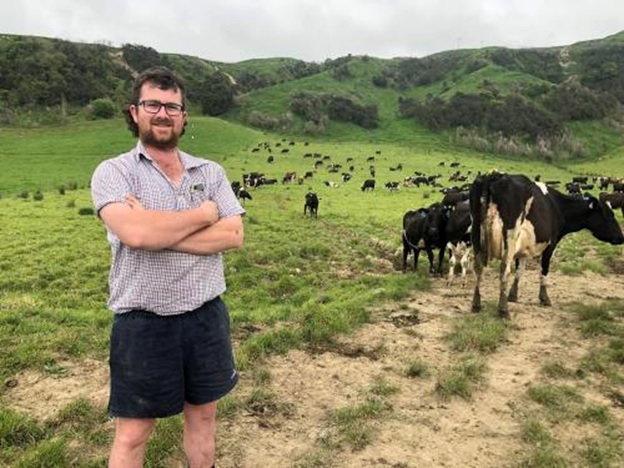 local dairy farmer and cows
