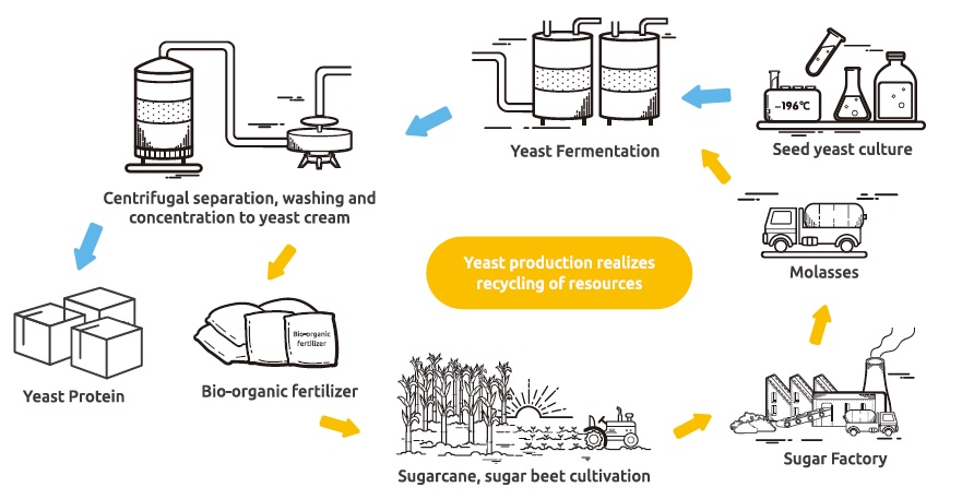 sustainability chart of yeast protein production