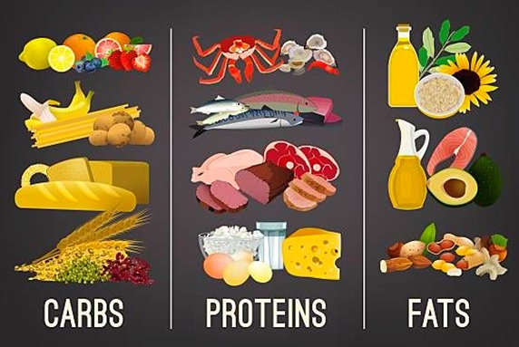 table of carbs proteins fats