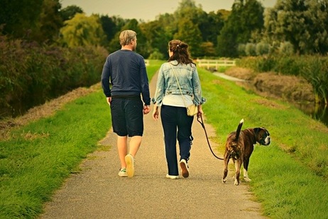 couple walking a dog through park stock image