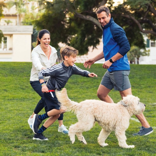 family and dog playing on a field stock image