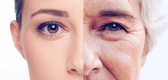 wrinkles young vs old stock image